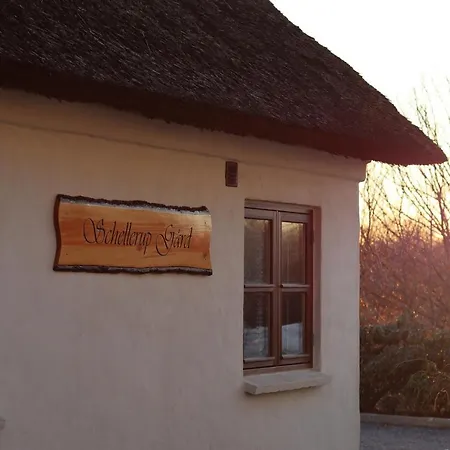 Schellerup Gard アパート ヘアニング