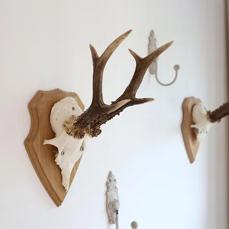 Apartman Schellerup Gard Herning