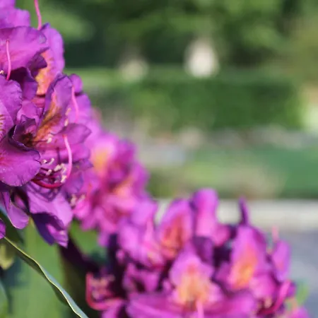 Appartamento Schellerup Gard *