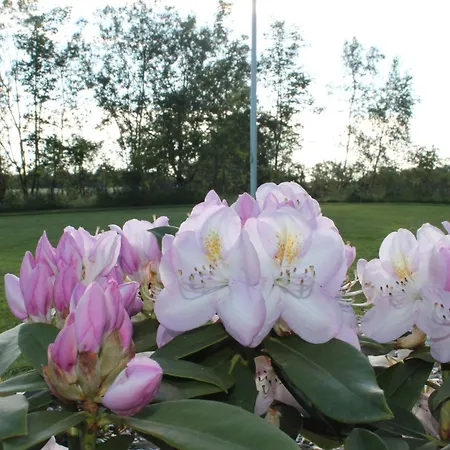 Appartement Schellerup Gard *