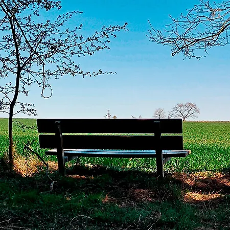 Schellerup Gard * Herning