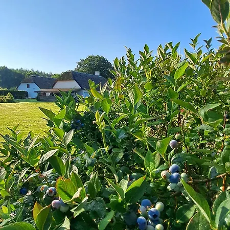 Apartmán Schellerup Gard