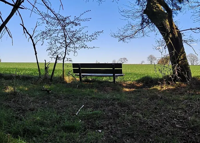 Schellerup Gard Апартаменты