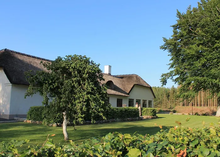 Schellerup Gard Апартаменты