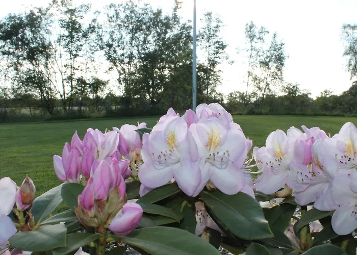 Апартаменты Schellerup Gard *