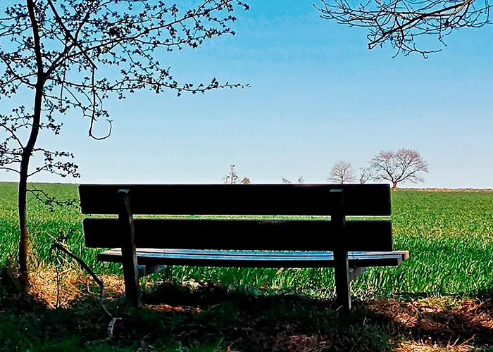 Schellerup Gard * Хернинг