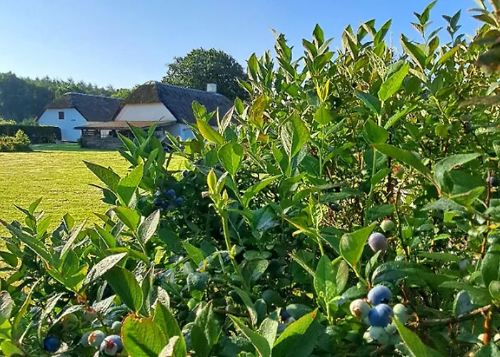 Апартаменты Schellerup Gard