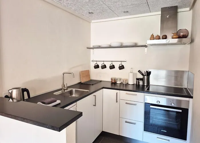 Schellerup Gard Апартаменты Хернинг