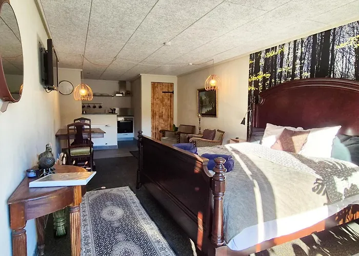 Schellerup Gard Апартаменты *